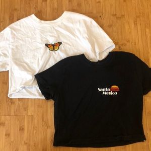 Two brandy Melville crop tees